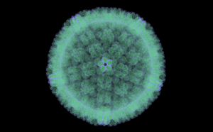 Cytomegalovirus