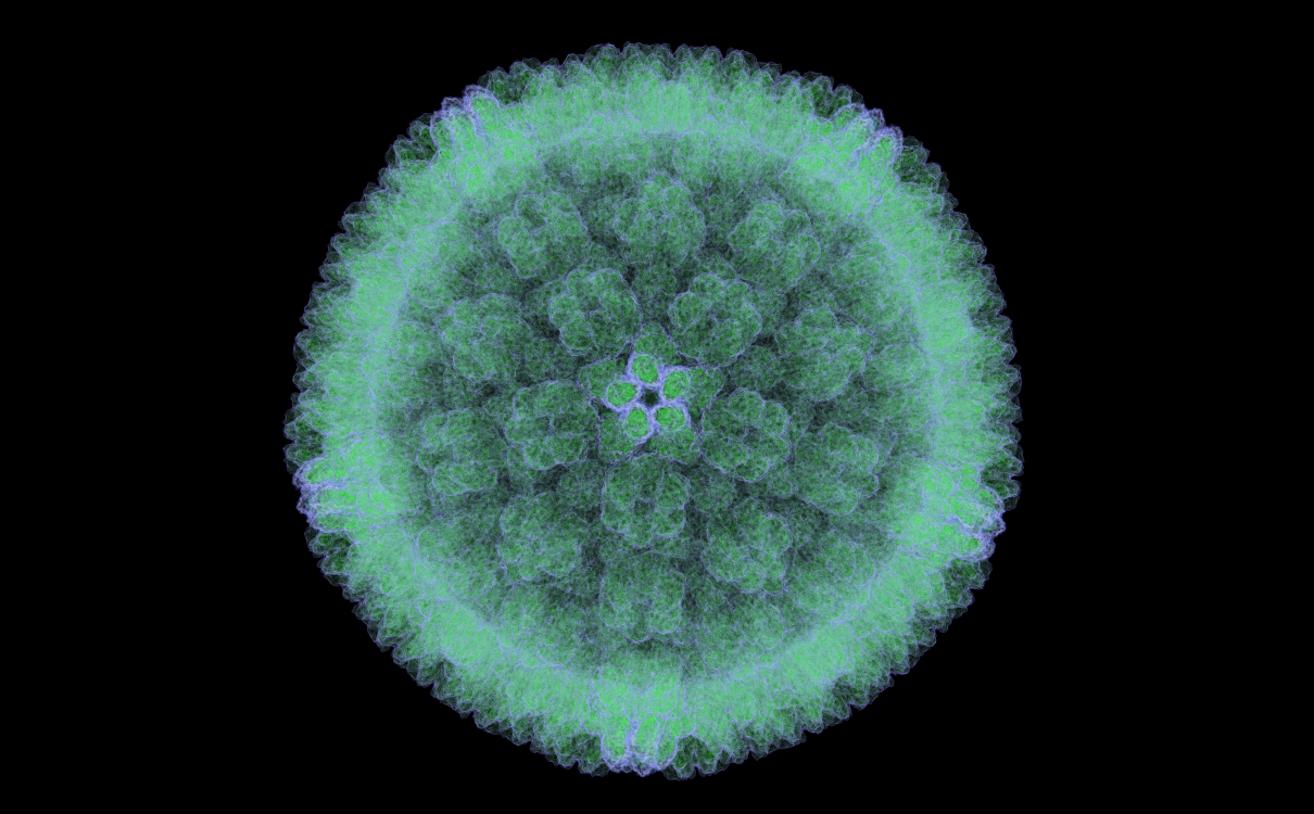 Cytomegalovirus