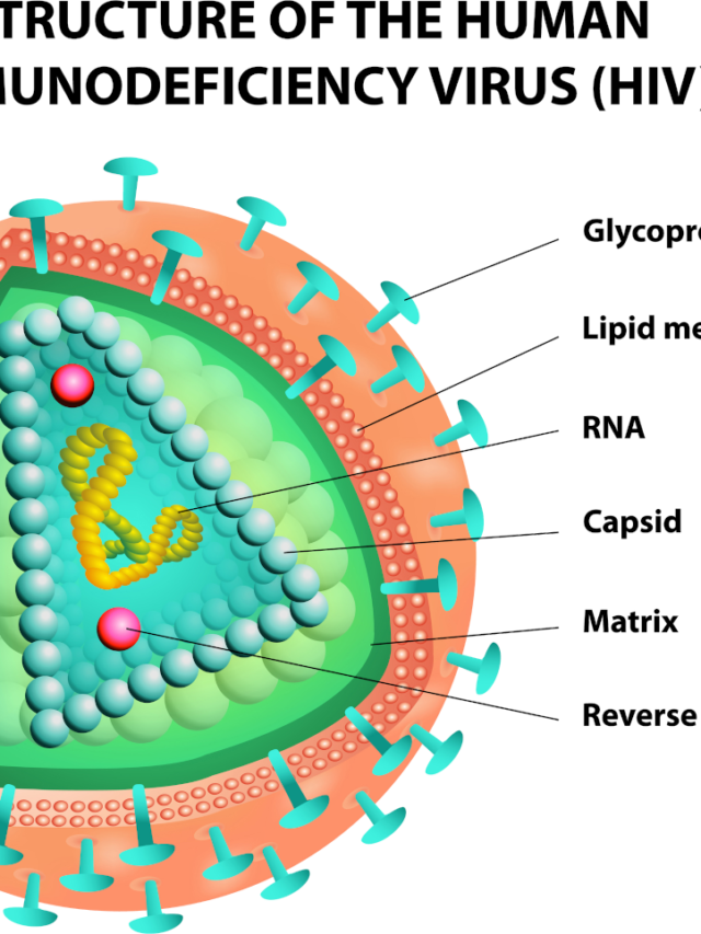 Human immunodeficiency virus