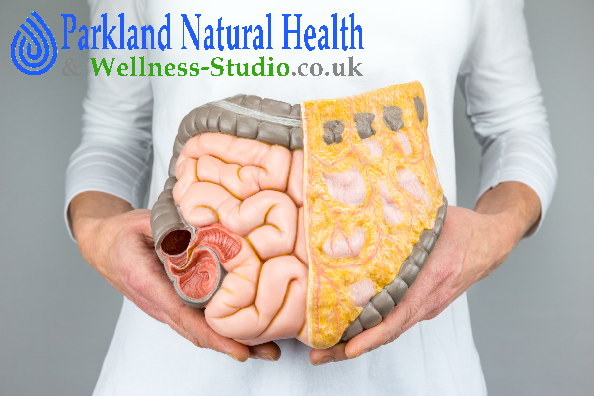 Enteroptosis - abnormal downward displacement of the intestine. Cleansing of the small intestine and digestive system/gastrointestinal tract of harmful substances. Colonic irrigation in Havering