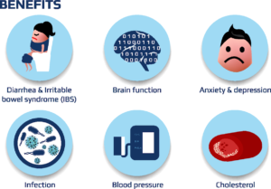 Intestinal microflora - Beneficial intestinal bacteria