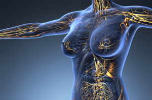 Stagnation and purification of lymph. Methods for purifying lymph