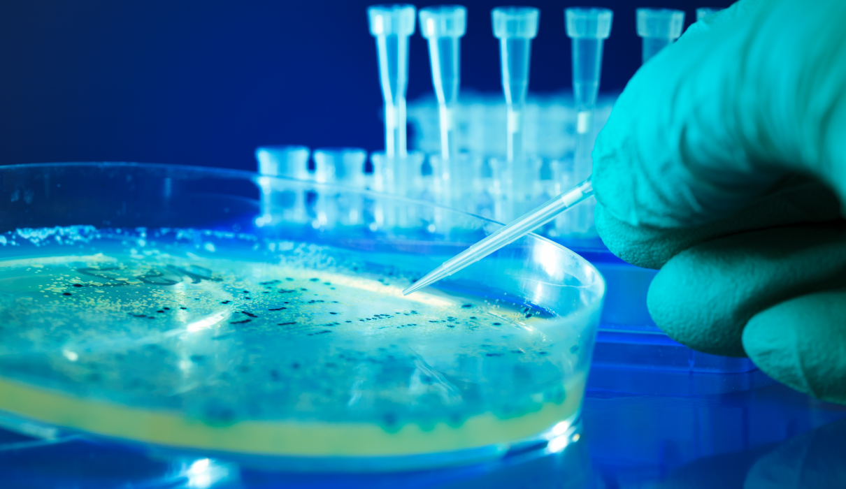 Beneficial bacteria and dangerous bacteria. What are the signs of bowel cancer?