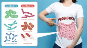 What is the relationship between immunity and intestines? immune system