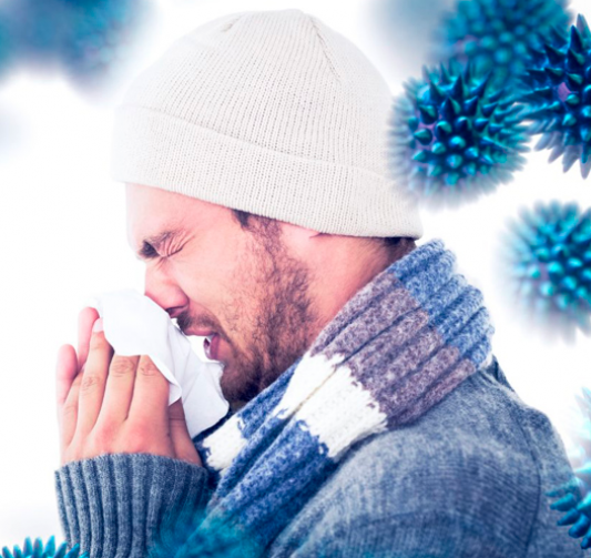 Human intestines and the immune system