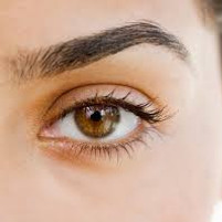 Basic Brow Tidy only