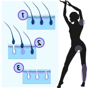 Full arms with hands and fingers waxing/depilation