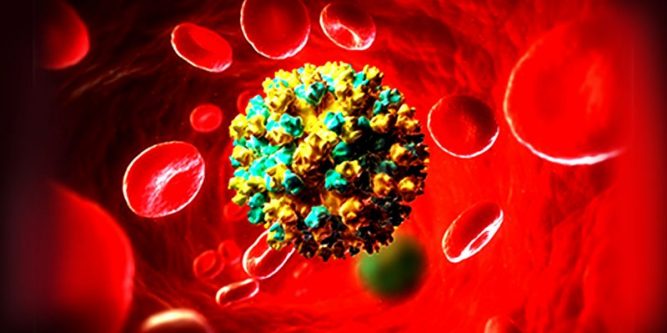 Immune system of the intestine and interferon