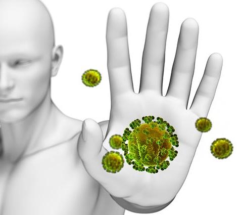 Does the immune system depend on the intestines?