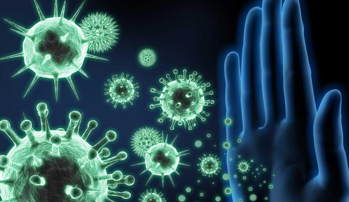 immune system directly linked with the colon