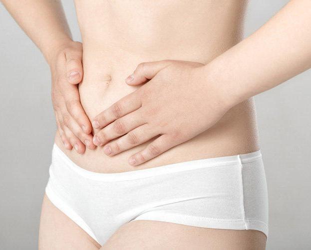 Intestinal microflora and immune system