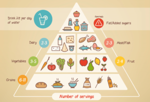 Meal Suggestions Have a look at healthy meal suggestions listing food ingredients for breakfast, lunch, dinner and snacks to improve eating habits