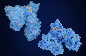 Serum albumin diseases