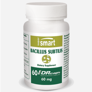 Probiotic bacteria Bacillus subtilis